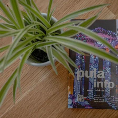 Comfy For Two Apartment *