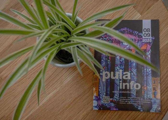 Comfy For Two Daire *