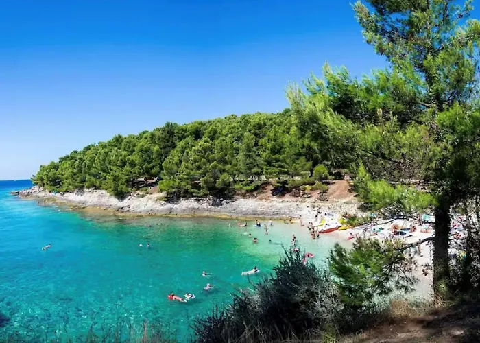 Daire Comfy For Two *